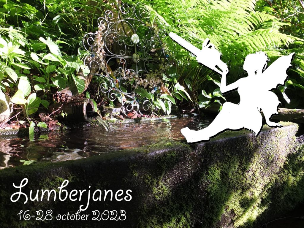 2023 Lumberjanes Community Weeks
