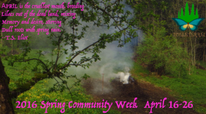 2016-Spring-Community-Week-call  